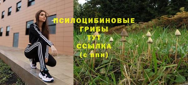 мдпв Лиски